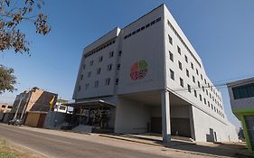 Tierra Viva Tacna